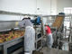 Μεταφορέας ζωνών πλέγματος καλωδίων ανοξείδωτου SUS 304/μεταφορέας πλύσης φρούτων ανοξείδωτοι